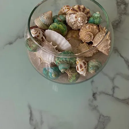 Avrora Apartament Varna