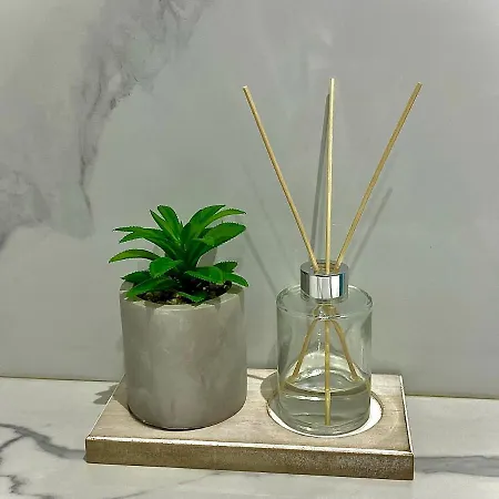 Apartament Avrora Varna